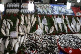 Balıkta çeşitlilik azaldı fiyatlar arttı