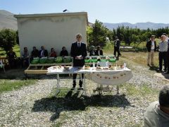 Doğanşehir’de elma hasat günü düzenlendi